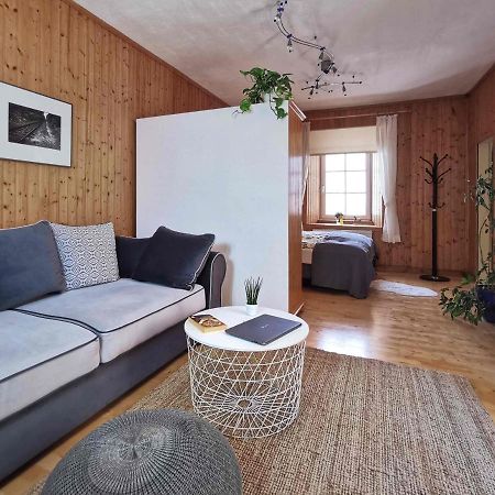 Ferienwohnung Himmelberg 80M2 In Der Altstadt Und Toll Fuer Familien Klagenfurt am Woerthersee Eksteriør billede
